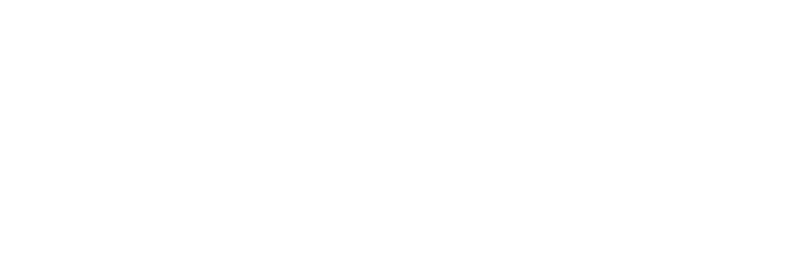 ANO 2011